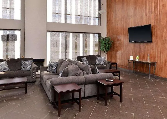 Quality & Near I-57 Hotel
