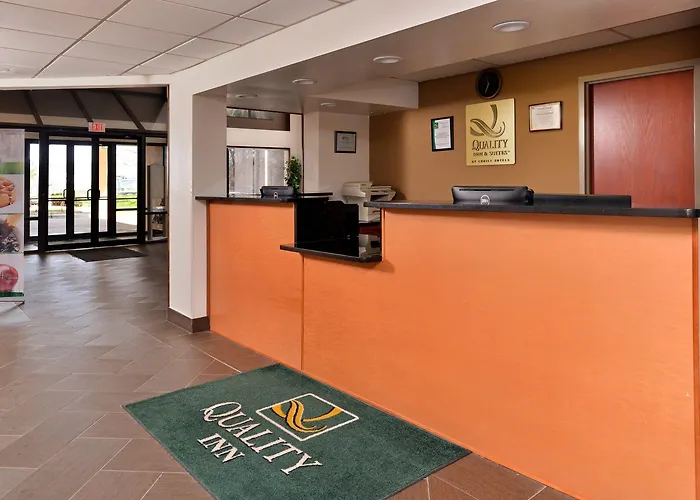 Quality & Near I-57 Hotel 3*