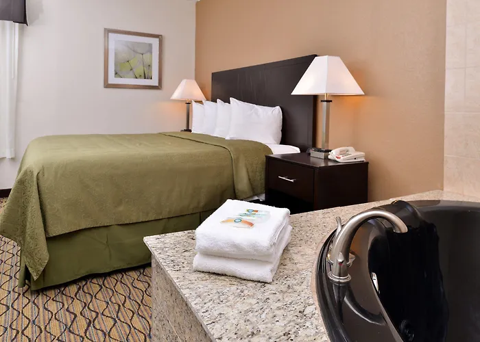 Quality & Near I-57 Hotel 3*