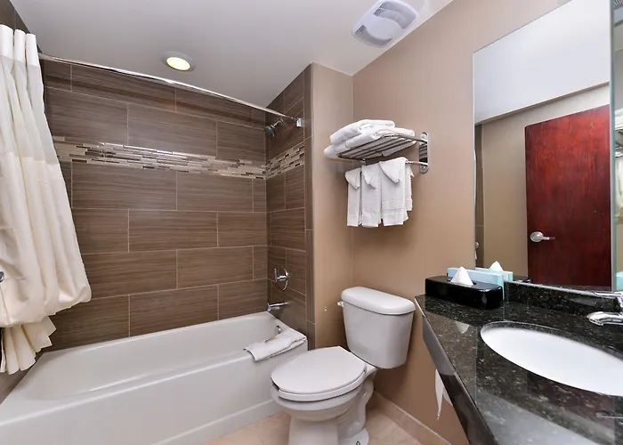 Quality & Near I-57 Hotel Matteson