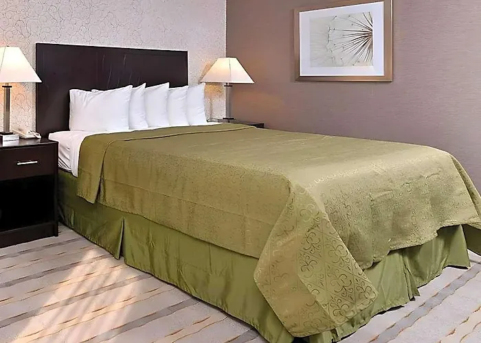 Quality & Near I-57 Hotel